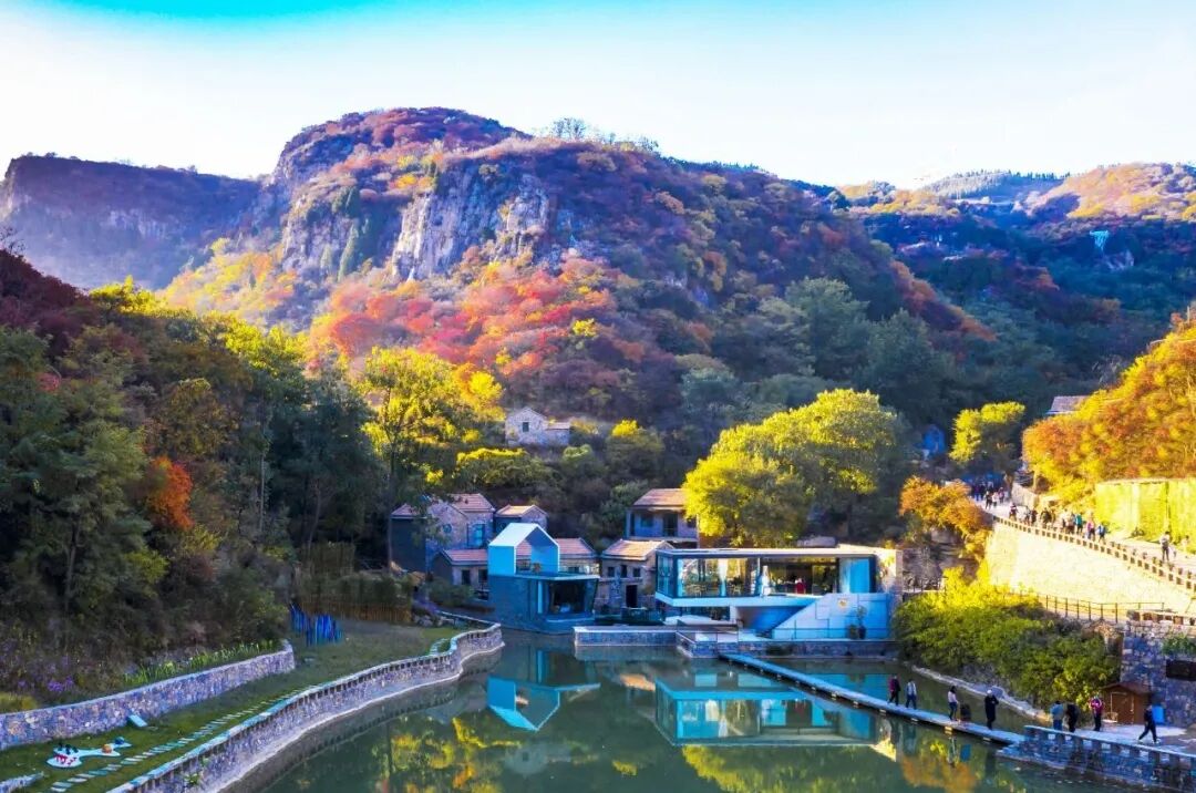 红叶柿岩旅游区植树节活动温暖来袭! - 好客山东网