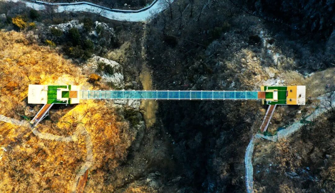 红叶柿岩旅游区植树节活动温暖来袭