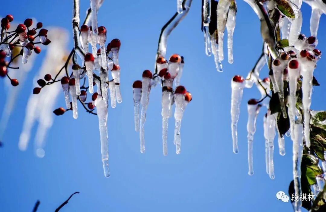 小寒节气的天气特点是什么_风俗节气小寒特点是什么_小寒节气的特点和风俗