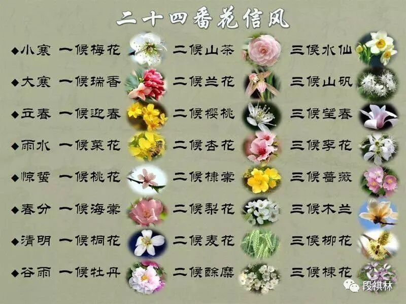 风俗节气小寒特点是什么_小寒节气的特点和风俗_小寒节气的天气特点是什么