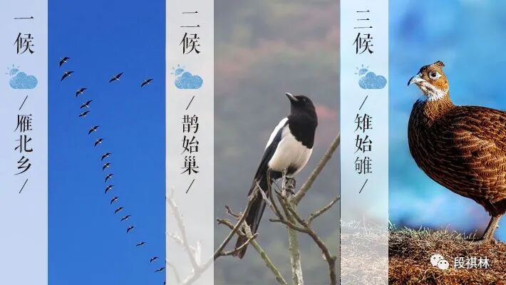 小寒节气的特点和风俗_小寒节气的天气特点是什么_风俗节气小寒特点是什么