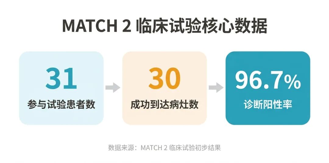 MATCH 2临床试验数据图，展示31位患者中30例成功到达病灶，诊断阳性率达96.7%