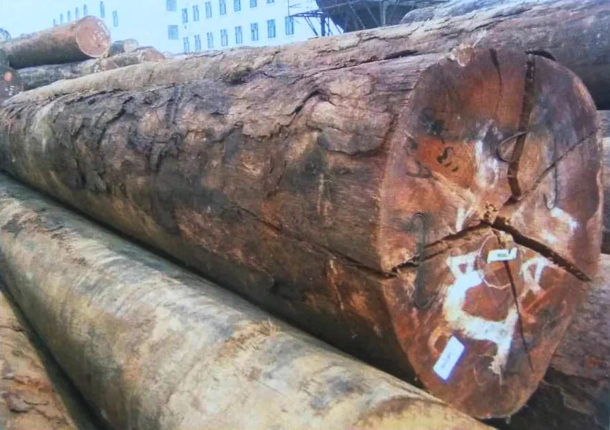 歐朗地板水晶簾香椿木hg822_檫木做地板怎么樣_馬可波羅木地板