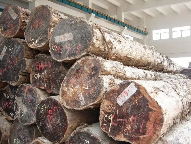 歐朗地板水晶簾香椿木hg822_檫木做地板怎么樣_馬可波羅木地板