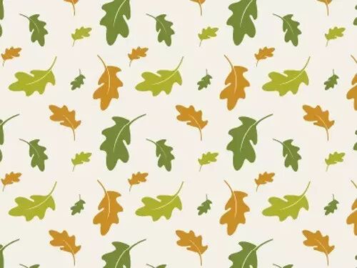 Python 中的装饰器