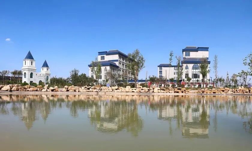 县委副书记,县长孙颖莅临金文视察指导 - 金乡县金文实验高级中学