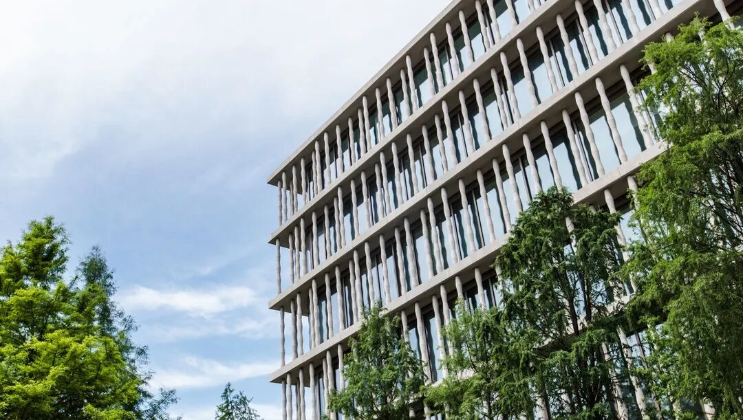 挑廊怎么读_挑廊是什么意思_挑廊