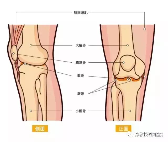 膝盖痛怎么办 居然这样就有效 膝关节篇 康教授说健康2 微信公众号文章阅读 Wemp
