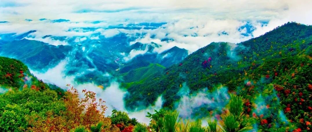 半价、免费！这个“专属”节日，杭州不少景区有优惠！