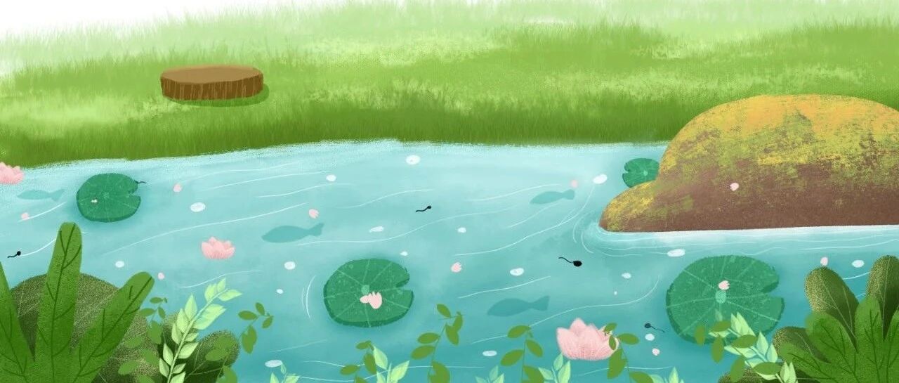 冲37℃！晴热高温即将来袭！上半年，杭州还破了一个纪录……