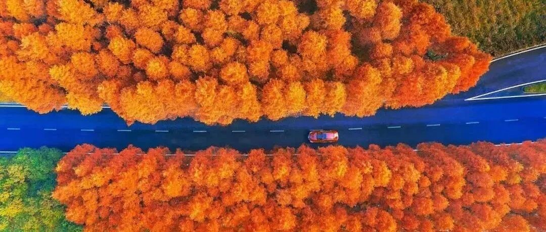 一路风景！杭州这几条公路自带绝美景色，自驾走起.....