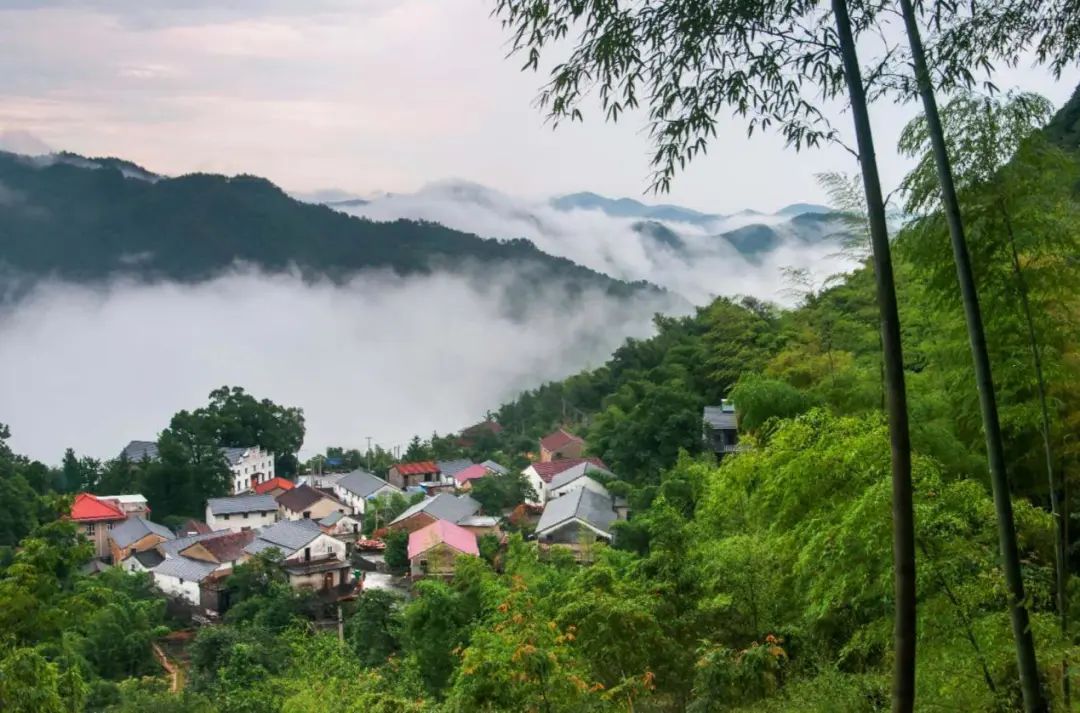 清涼爆表，低至14℃！杭州這些絕美避暑勝地，你去過幾個？ 旅遊 第59張