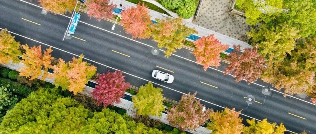 杭州有条街“红”上热搜！你去过吗？西湖边这道新风景也上线啦！