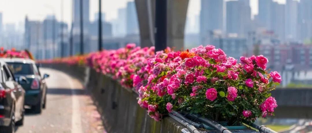 12件2021年必做的事！少一件都不完整