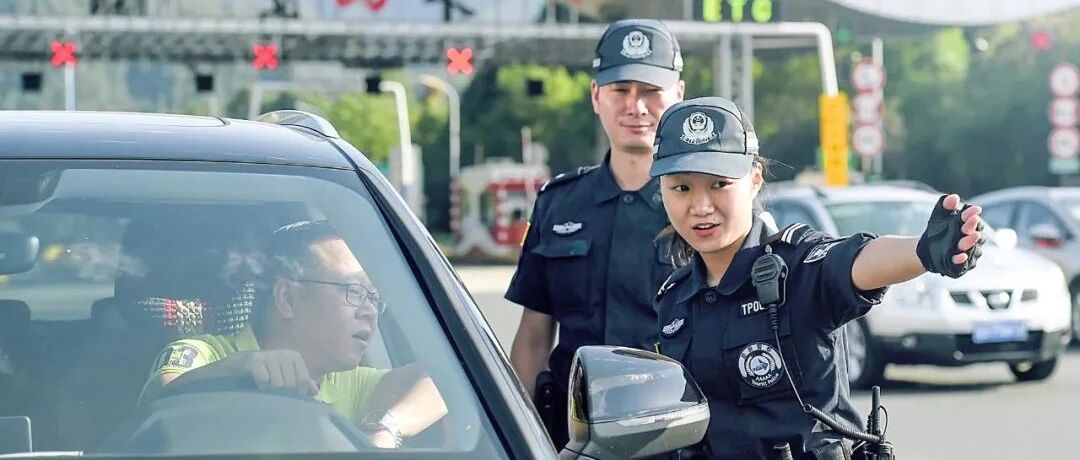招203人，正在报名！
