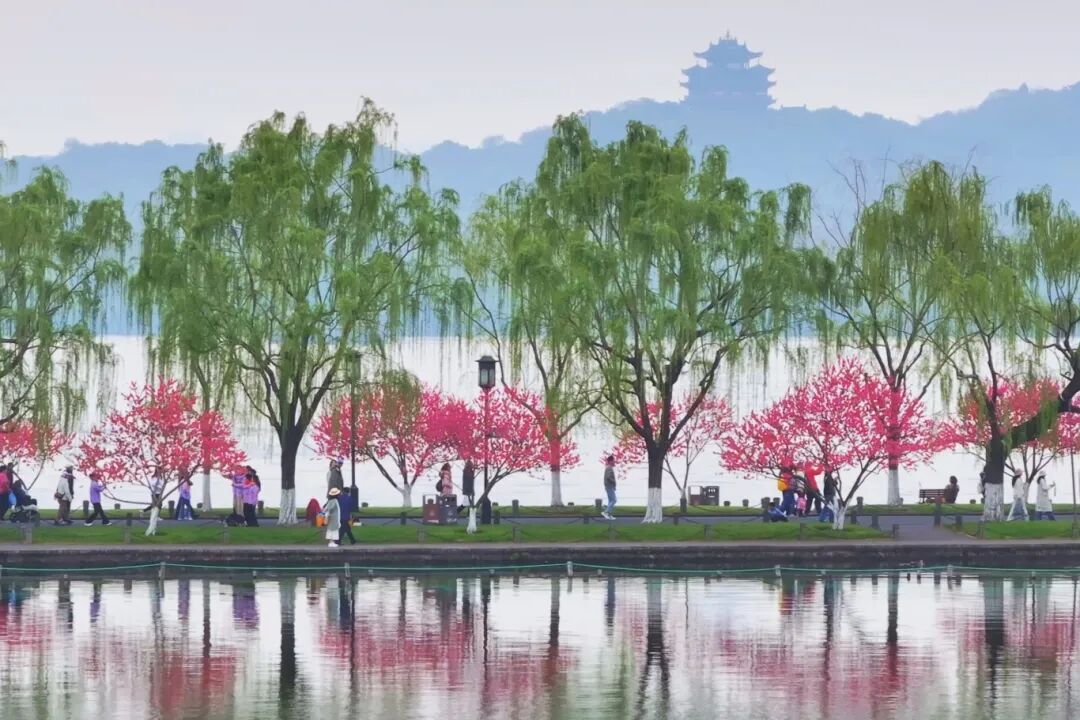 3月最佳旅行地 | 7元嗦粉、5元坐船、0元看花海，中国有的是好看又好吃的地方！