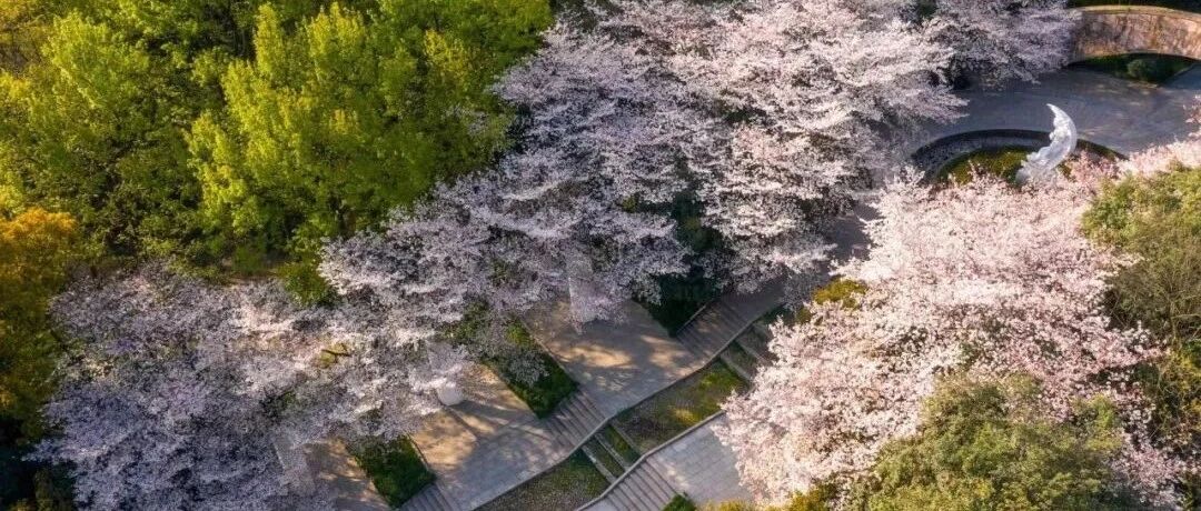 节气 | 今日雨水，期盼杏花雨杨柳风，品尝杭州春之滋味！