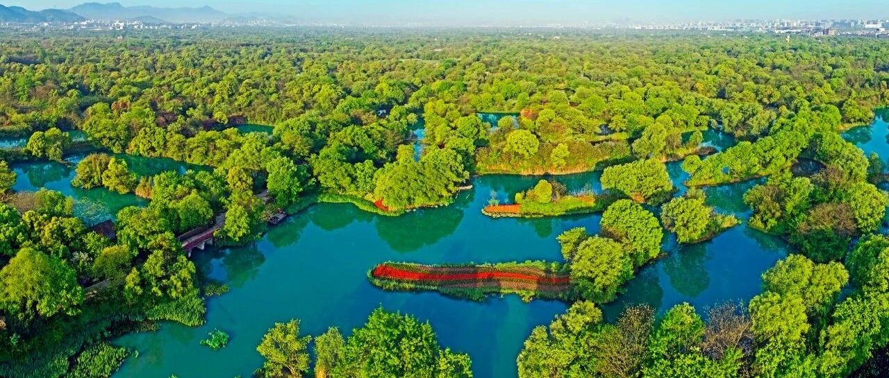西湖西溪景区，要评选“新十景”了!快来报名免费体验!