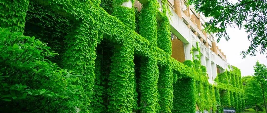 美！杭州10所高校的夏末景色一览，你pick哪一所？