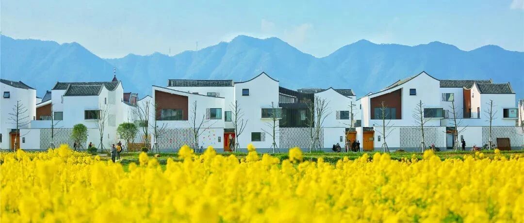 上榜中国最具幸福感城区！这里把水墨画搬进了现实！高铁15分钟即达