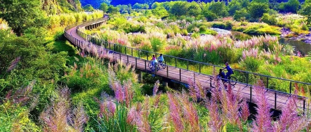 上榜省级示范！杭州藏着这么多风景绝美的好去处！随手一拍都是大片