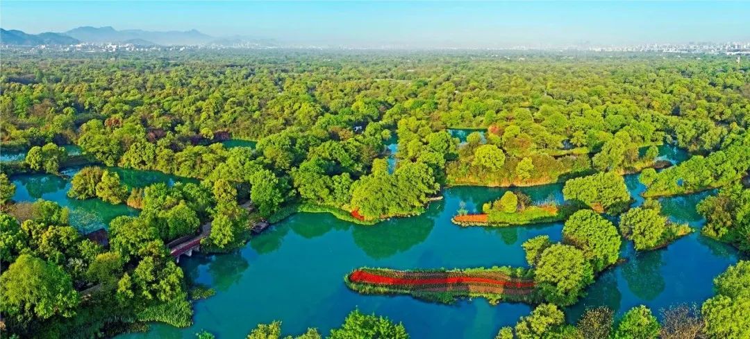 世间生物大会_世间生物大会_世间生物大会