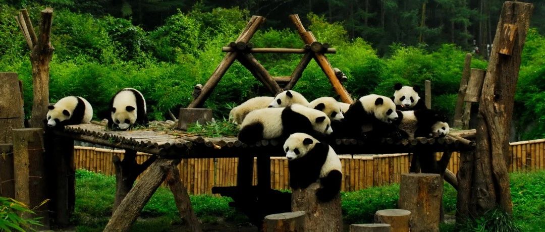 @杭州人，免门票!五年有效!九寨沟、黄龙、四姑娘山……都包括