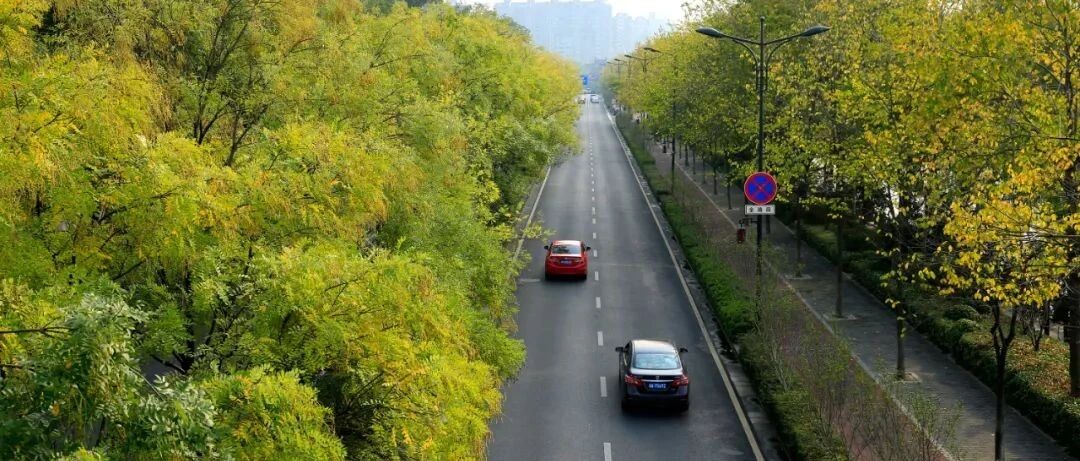 靓！杭州13条道路美到上了省级榜单！有没有你家附近？