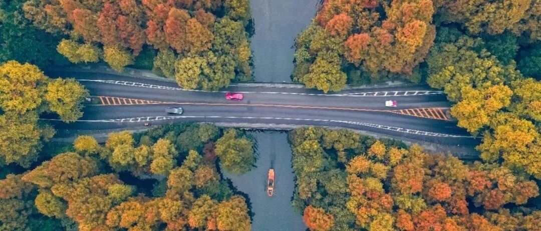 终于要升温了！但较强冷空气紧随其后！权威发布：今年是一个暖年