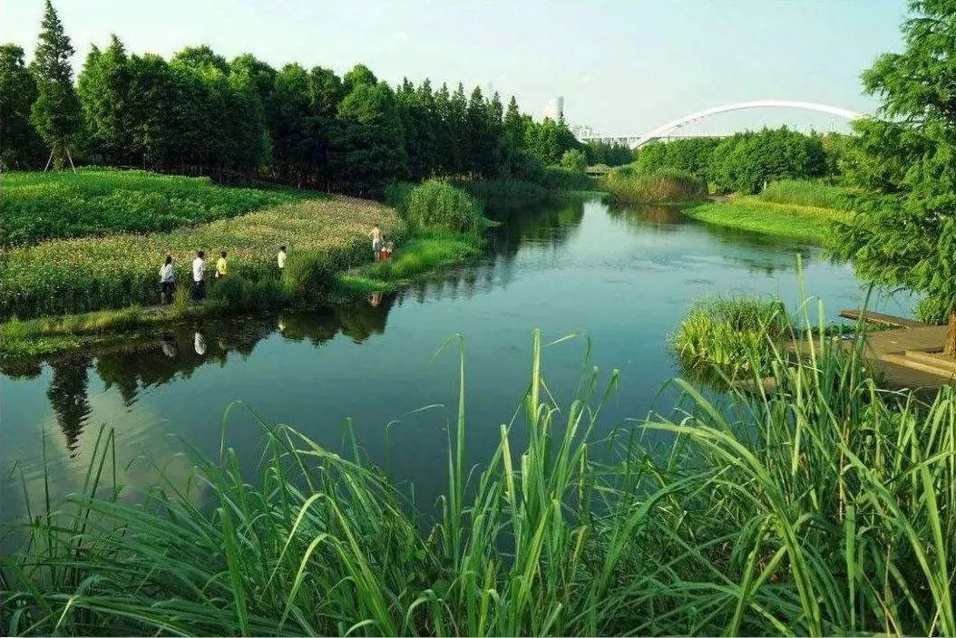 杭州大运河国家文化公园规划正式发布！涉及7个区！建设重点、规划方向明确了