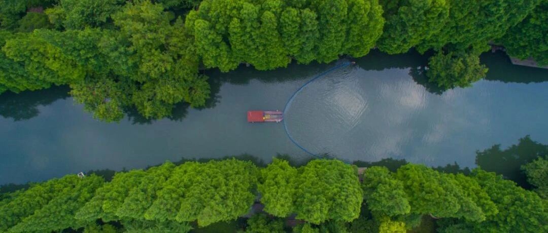 只要3元，独特视角赏杭州市中心风光！这条小众宝藏路线浓缩江南韵味！