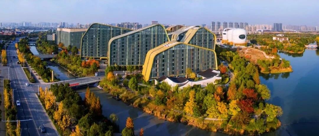 全国首批！杭州入选！