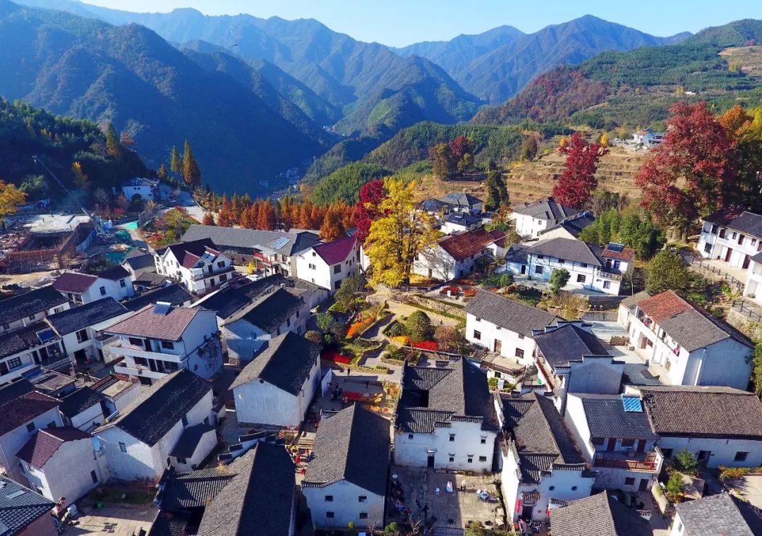 杭州「紅」了！沿著最佳賞楓路線拍照，景色無敵美！ 旅遊 第17張