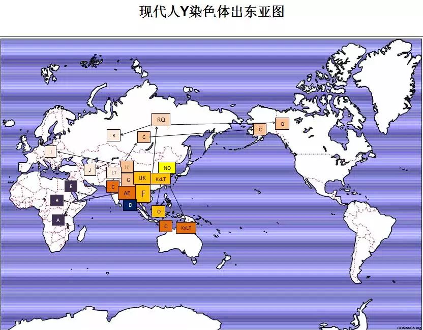 序字典怎么查_序字典页码_字典序