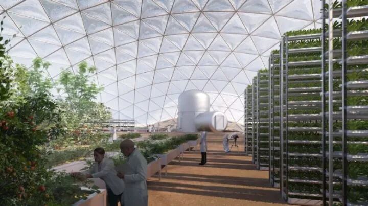 中国将于年首探火星 火星人 即将成为现实 好课推荐 果壳网微信公众号文章