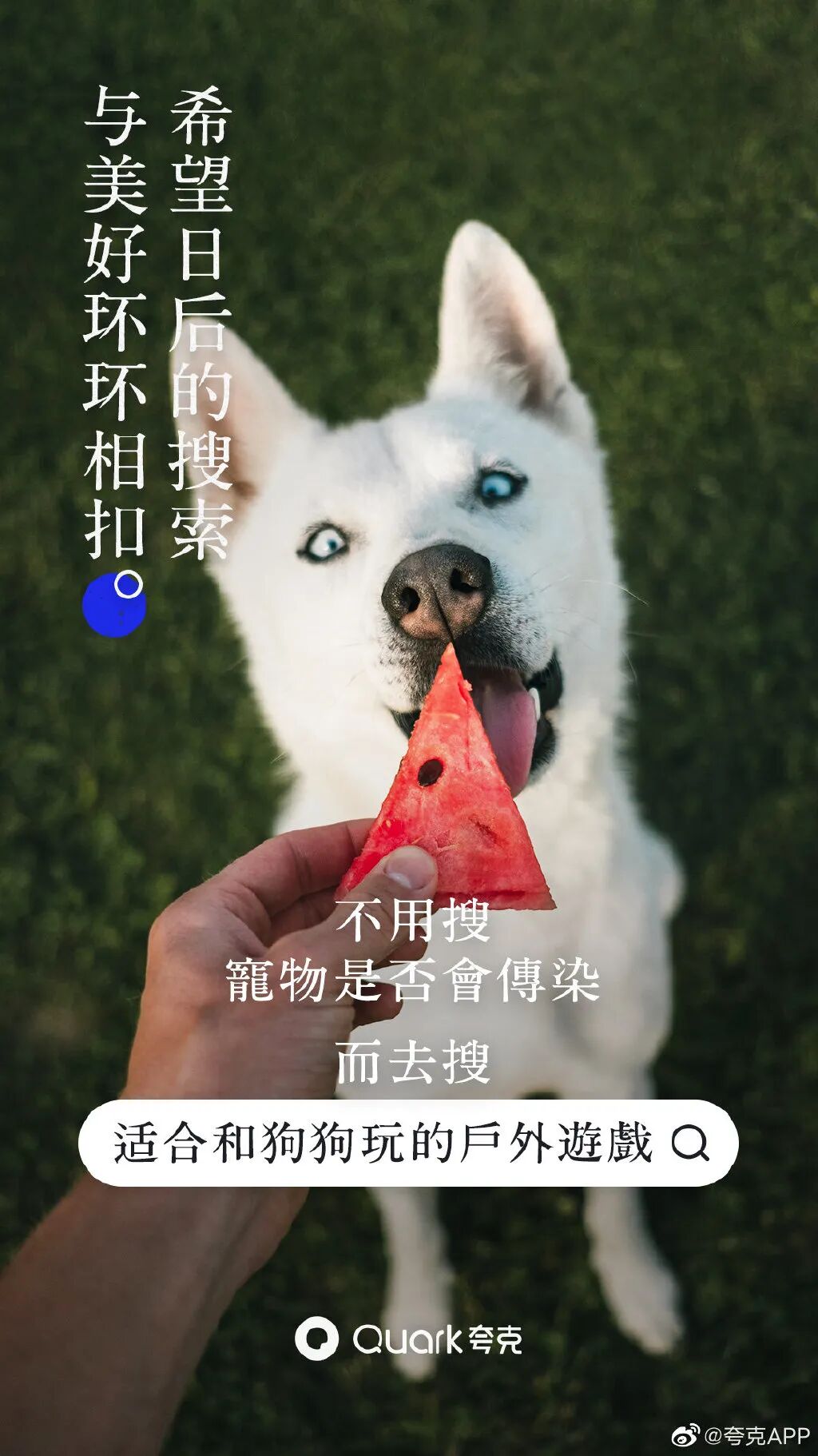 微信图片_20200311174713.jpg