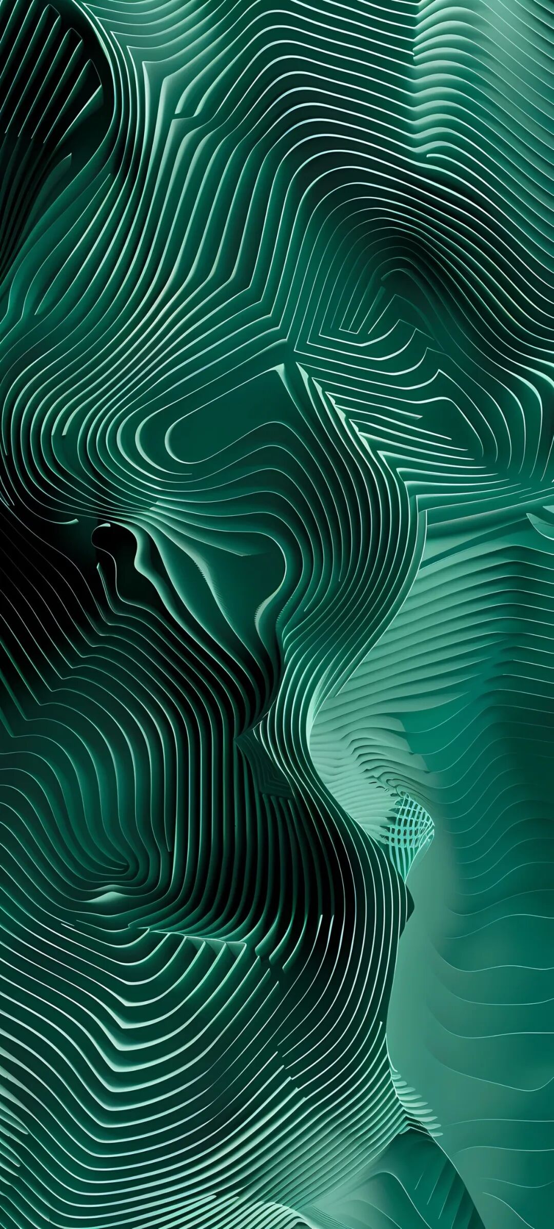 1080_2395竖版 竖屏