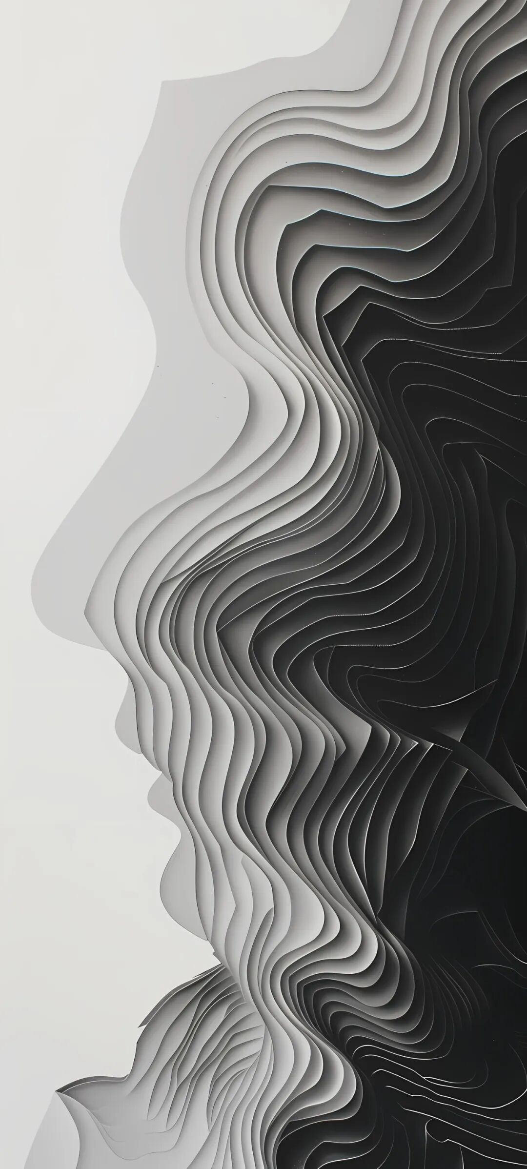 手机壁纸简单好看的高清壁纸适配苹果iphone12promax