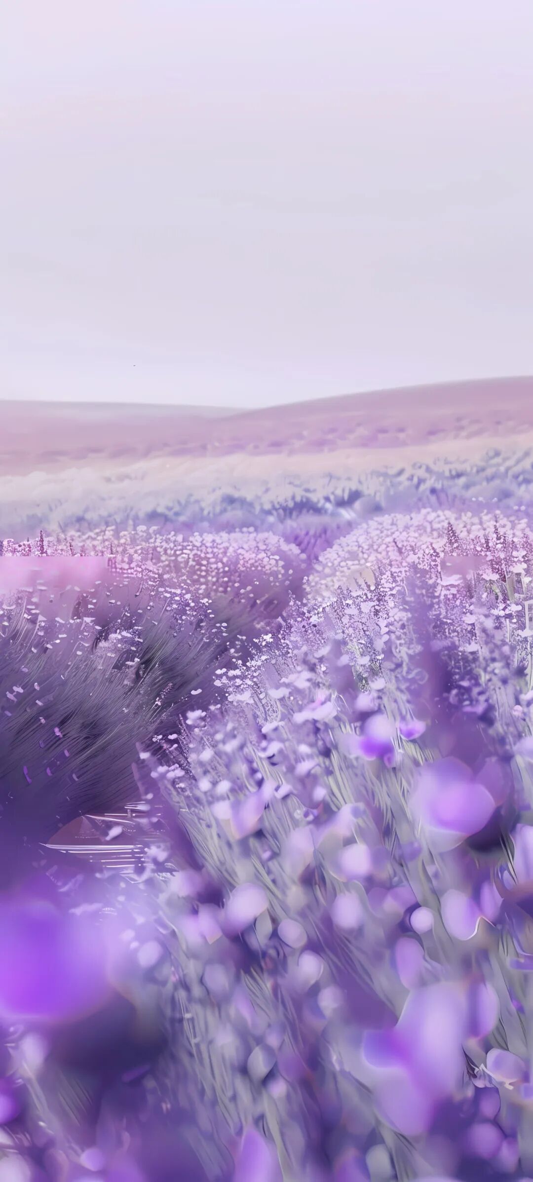 手机壁纸|潮流时尚高清壁纸,适配苹果iphone 13 pro max