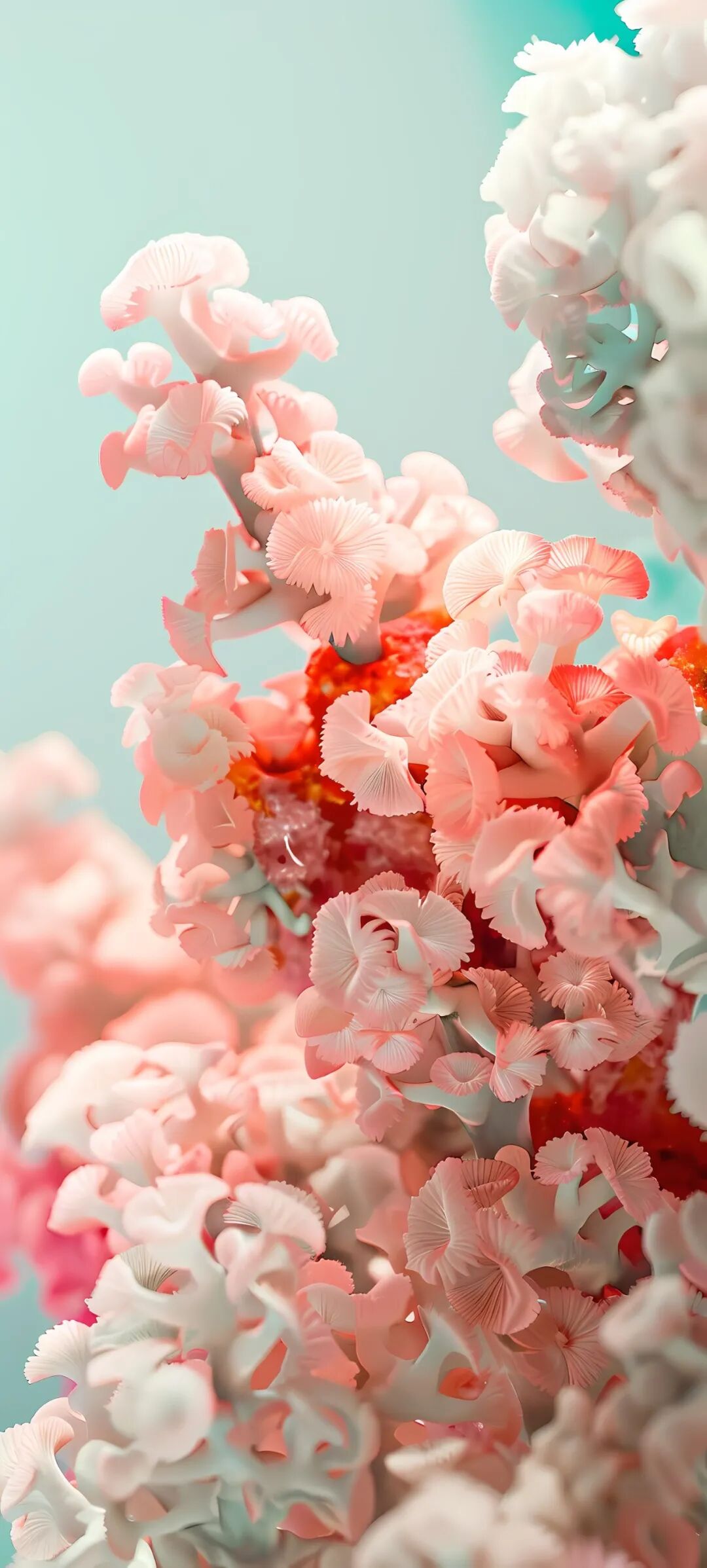 手机壁纸最新唯美全面屏壁纸适配vivoiqooz7