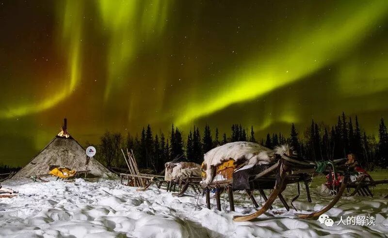 神奇的艾灸，为何无艾不成灸？-人的解读