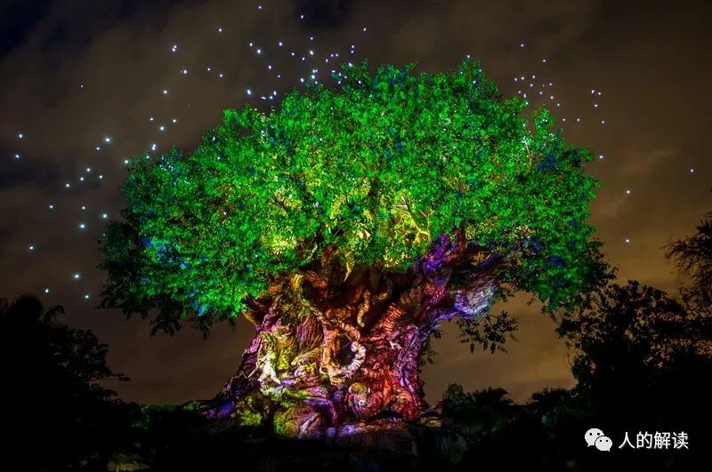 《灵魂学入门》课程总结-人的解读