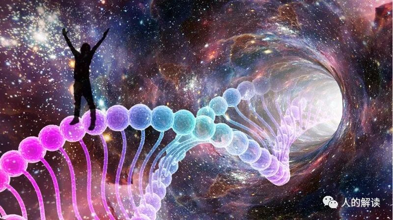 《灵魂学入门》课程总结-人的解读