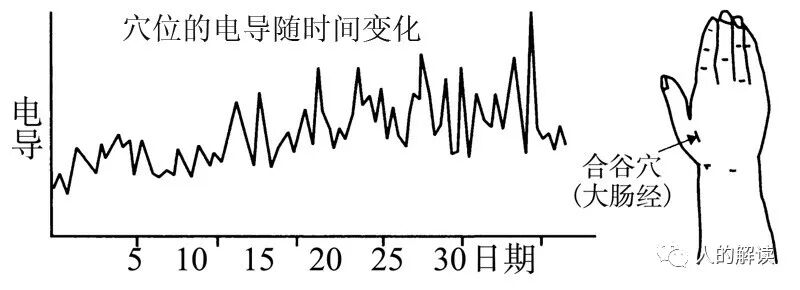 子午流注：人人必知的经络运行周期规律-人的解读