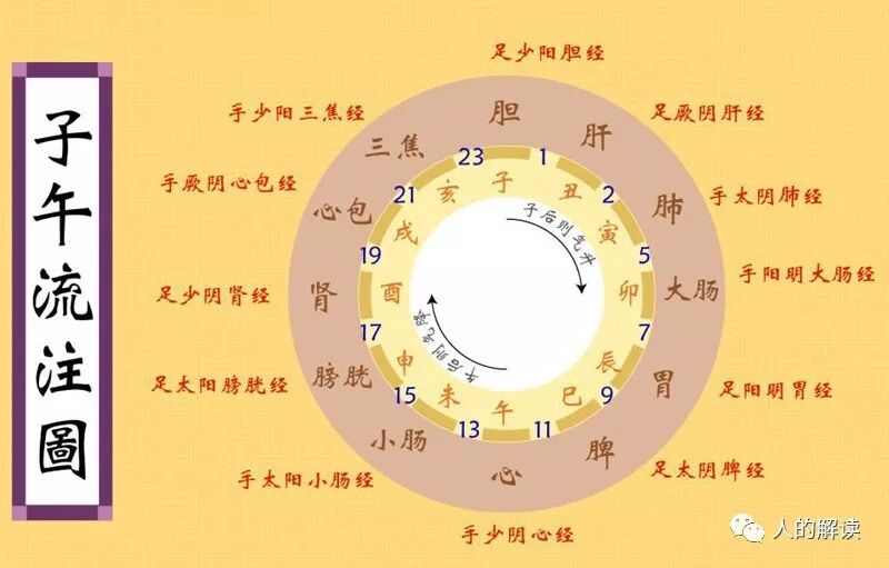 子午流注：人人必知的经络运行周期规律-人的解读