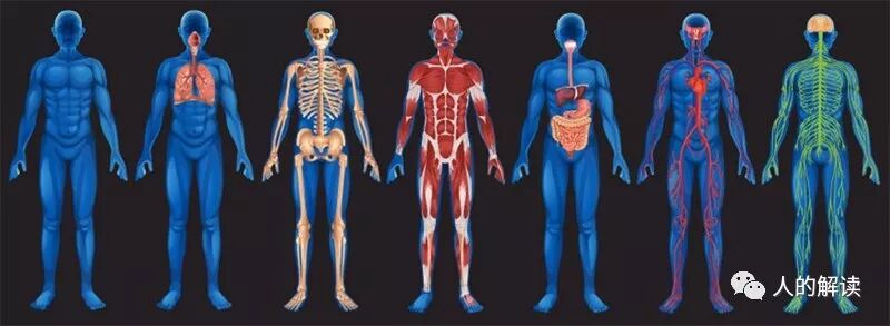 经络最奇特的现象：循经感传-人的解读