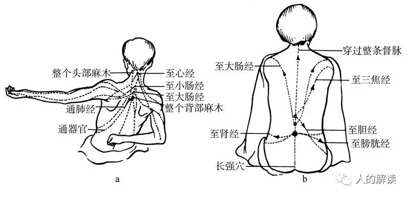 经络最奇特的现象：循经感传-人的解读
