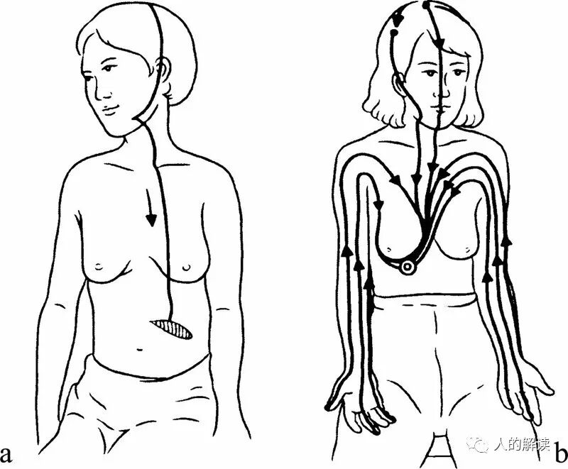 经络最奇特的现象：循经感传-人的解读