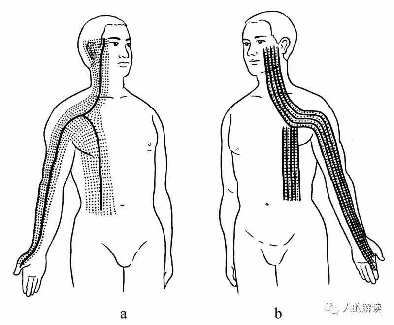 经络最奇特的现象：循经感传-人的解读