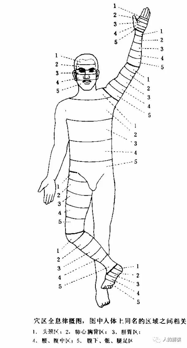 经络的全息特性，头痛医脚的道理原来是这样-人的解读